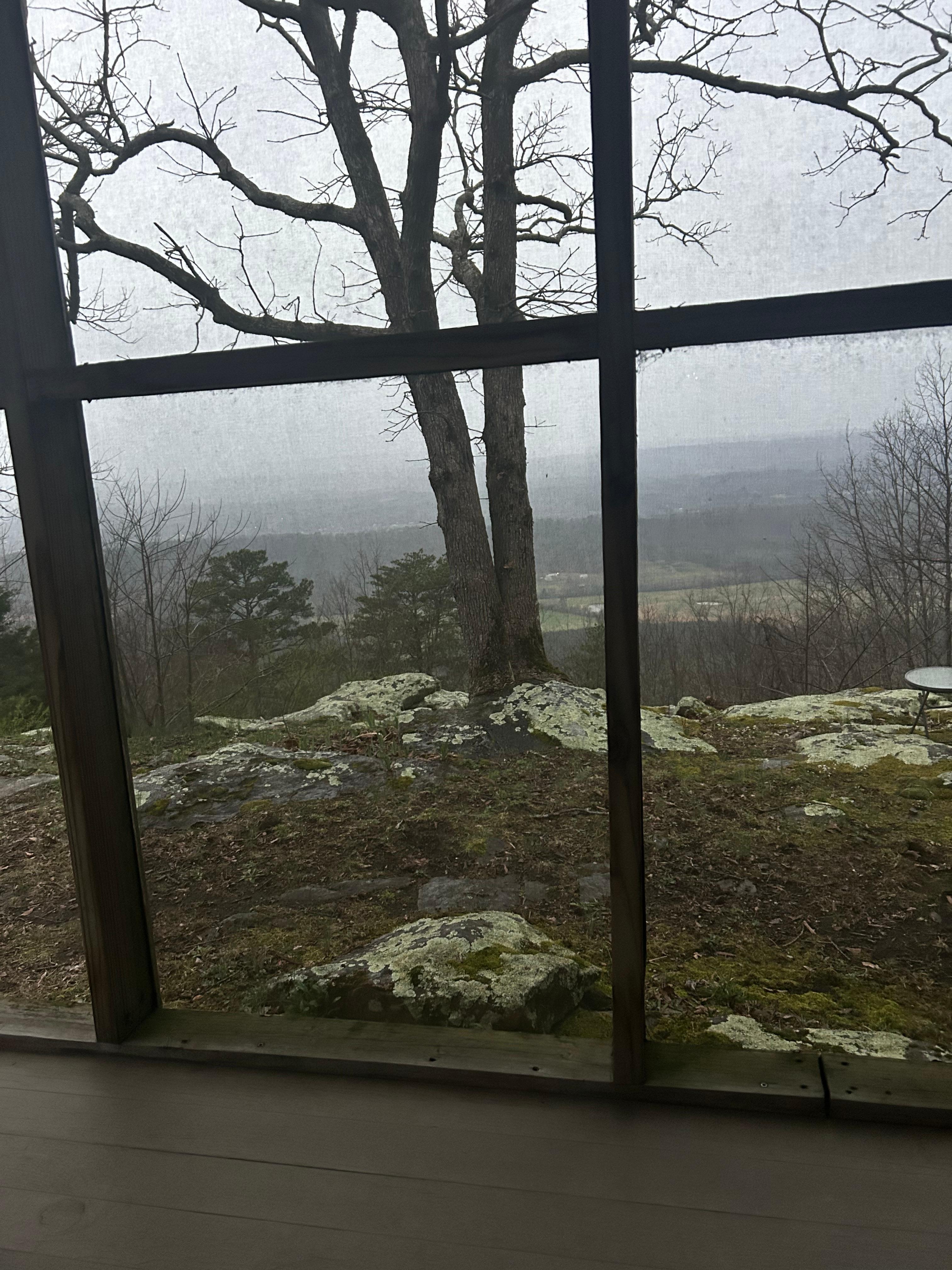 From the screened in porch watching the rain. 