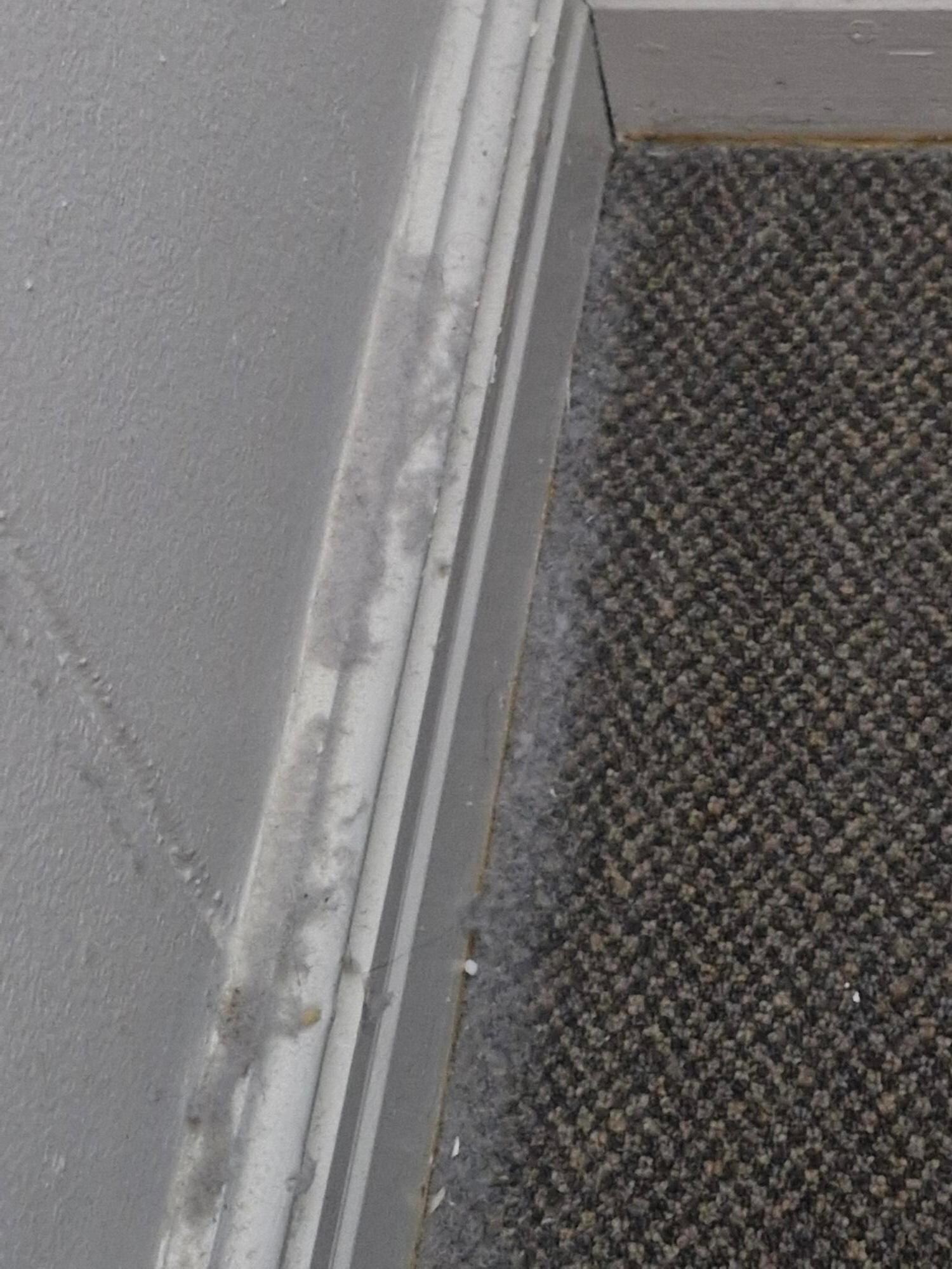 Filthy dust next to the bed