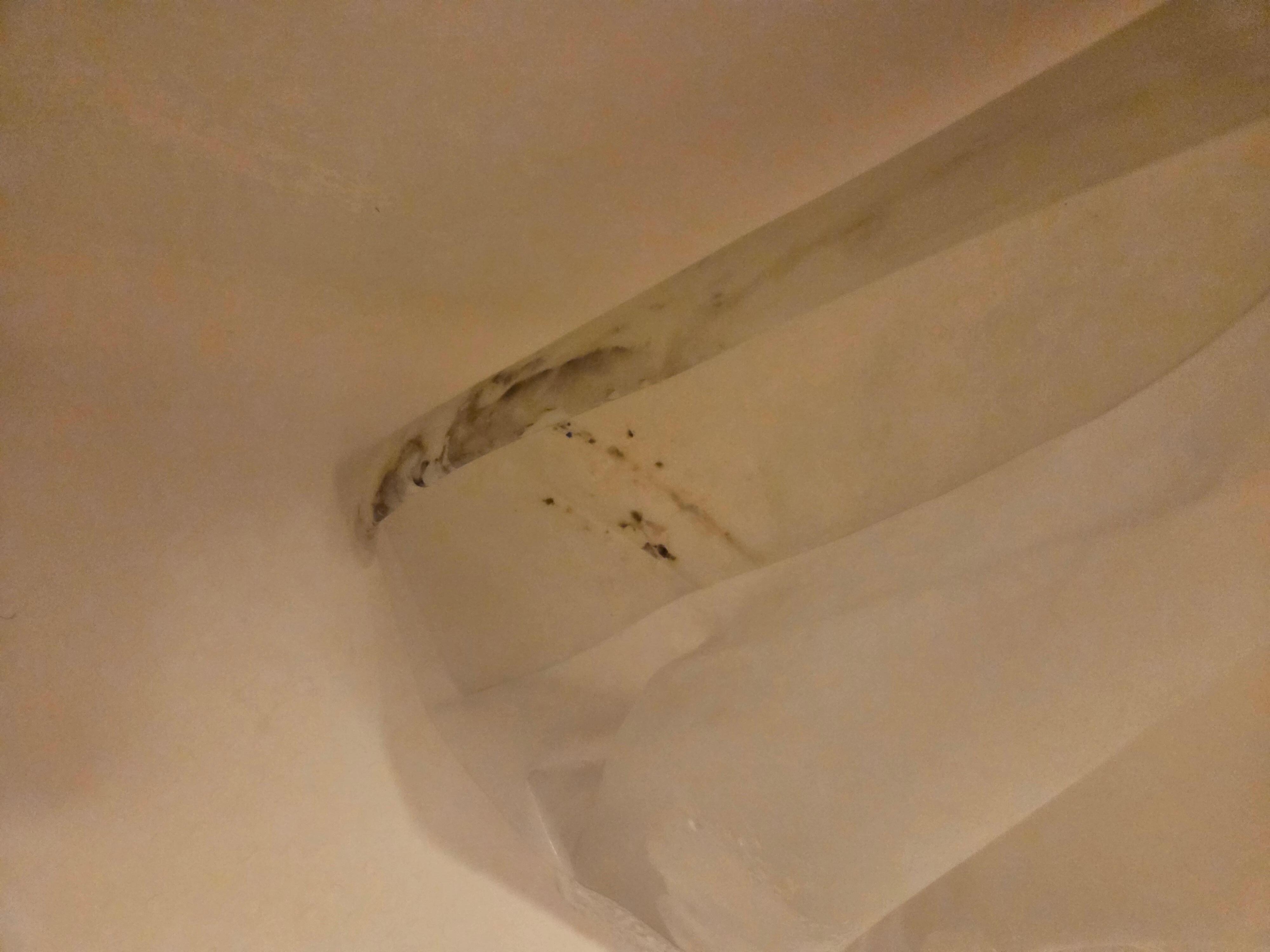 Mold on shower curtains