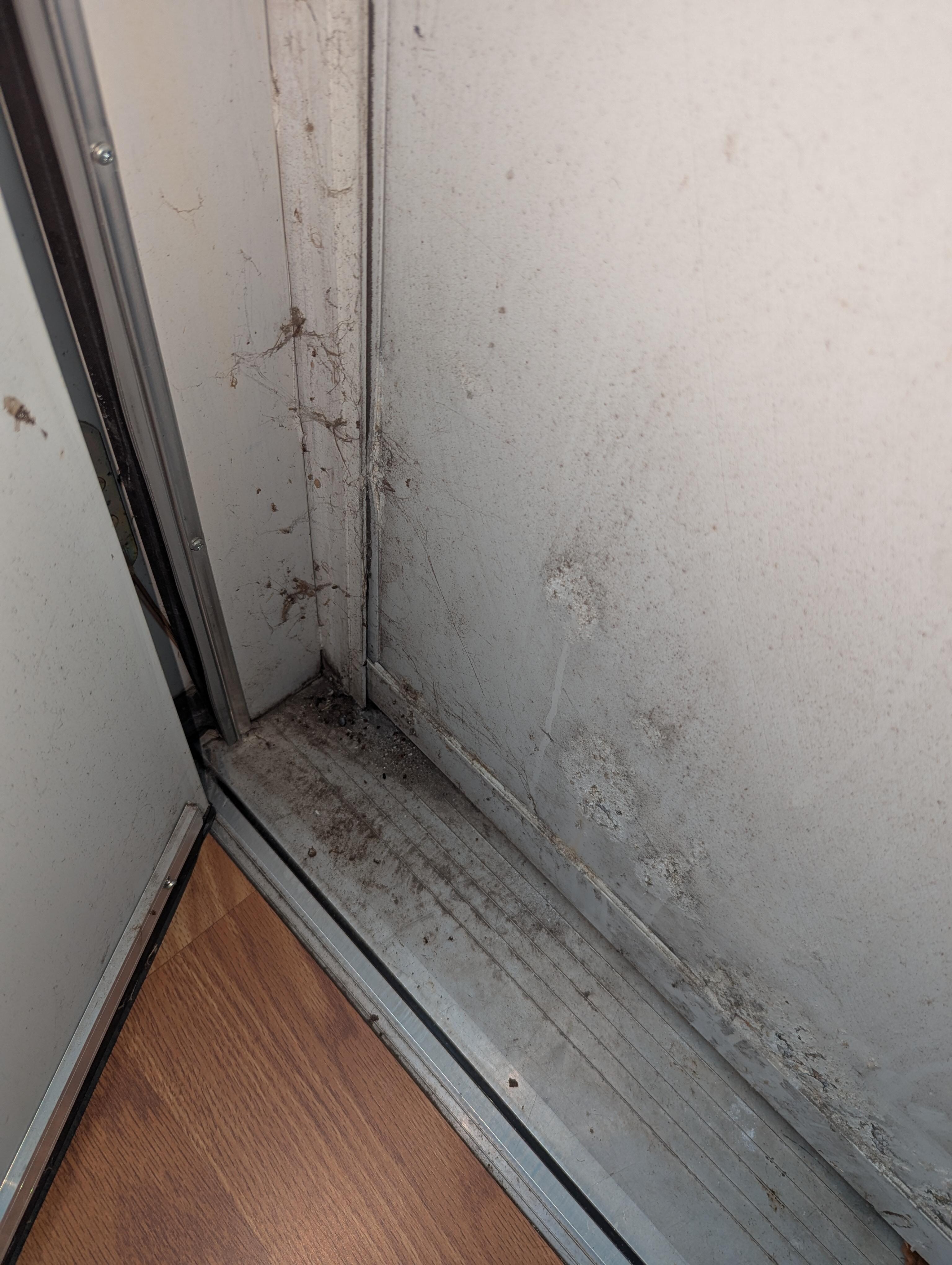Back door cobwebs and dirt