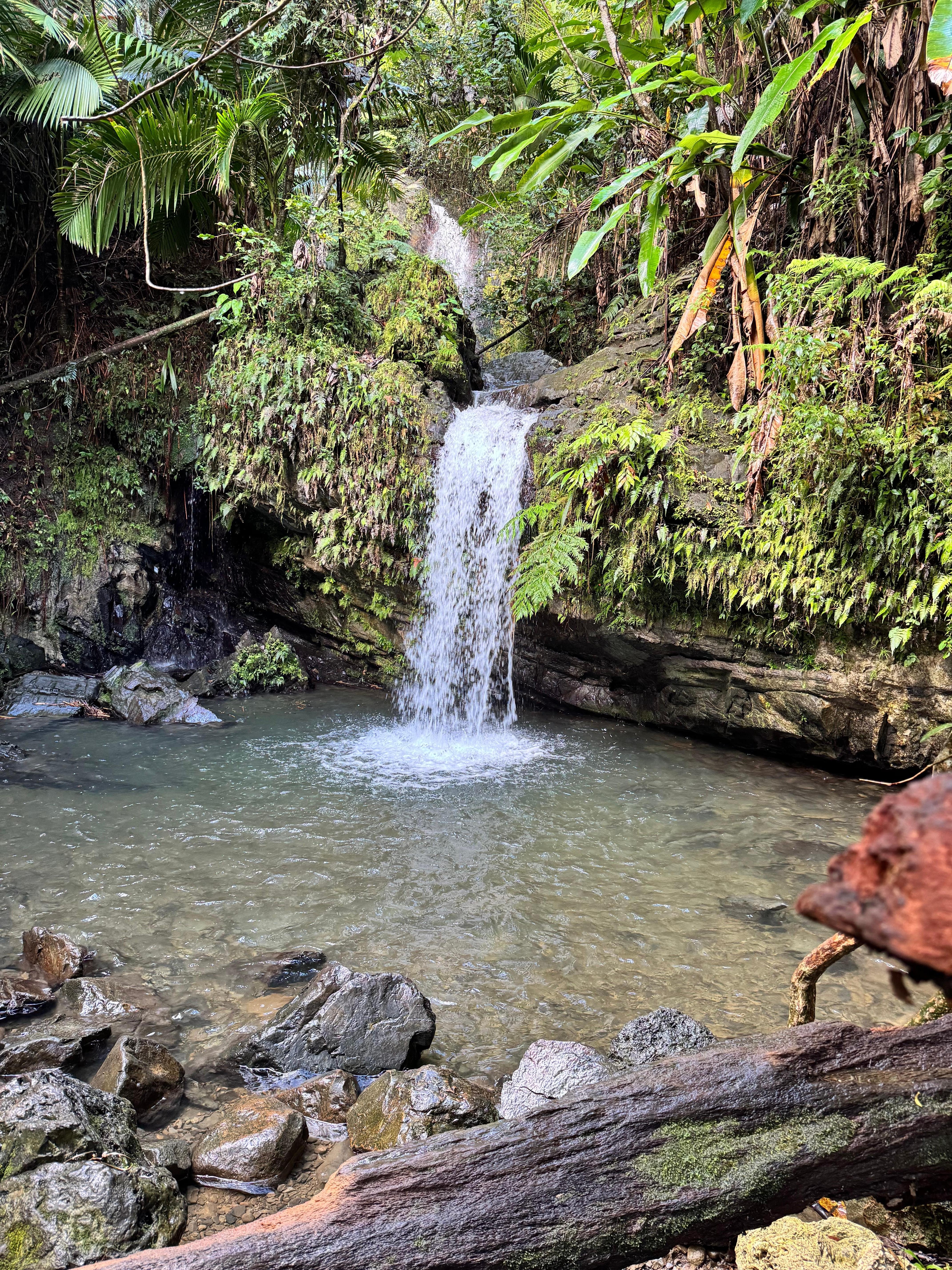Juan Diego Falls at the Rainforest 