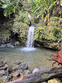 Juan Diego Falls at the Rainforest