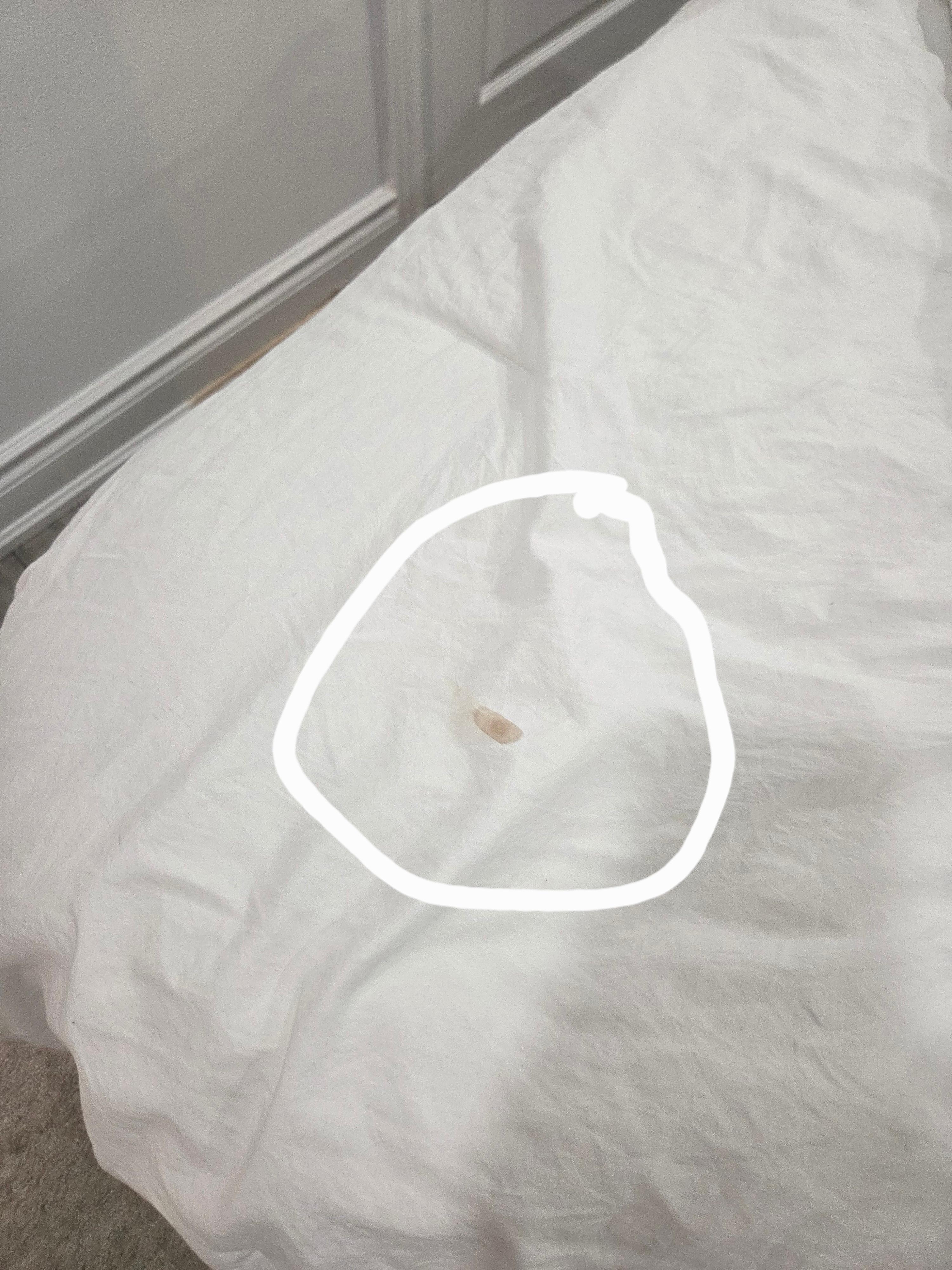 Stain on bedding