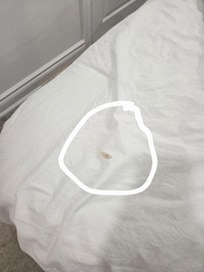Stain on bedding
