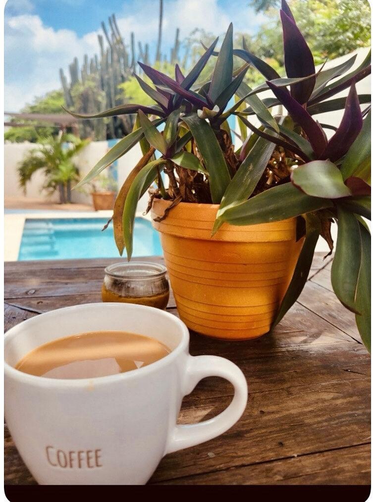 Coffee ☕️ with the birds 🐦 and pool.