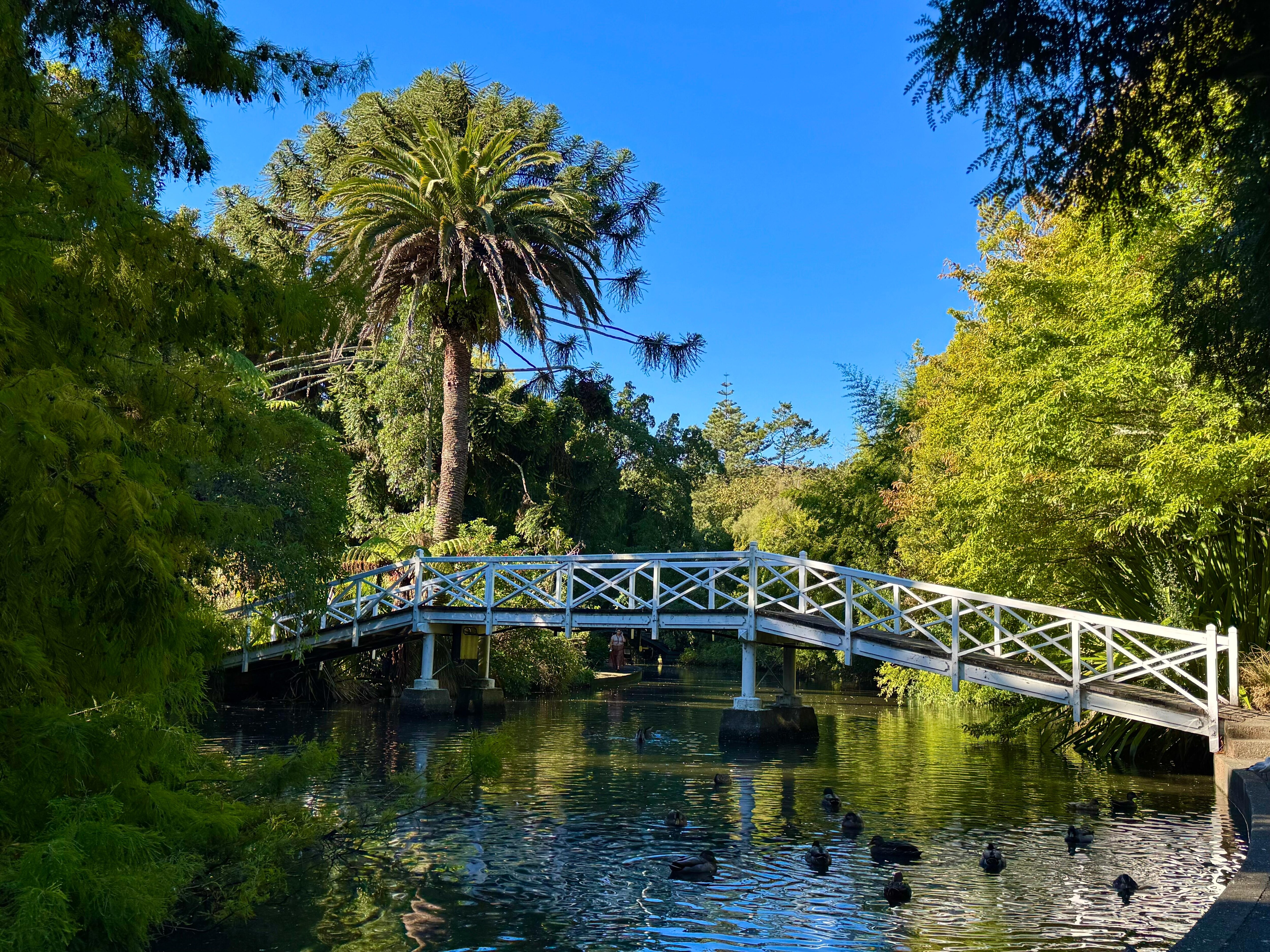 Queens Gardens Nelson