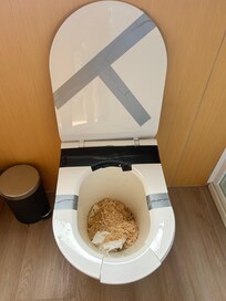This is the toilet they find fitting for you to sit on.