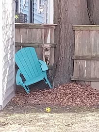 Had to block the dogs from coming in.