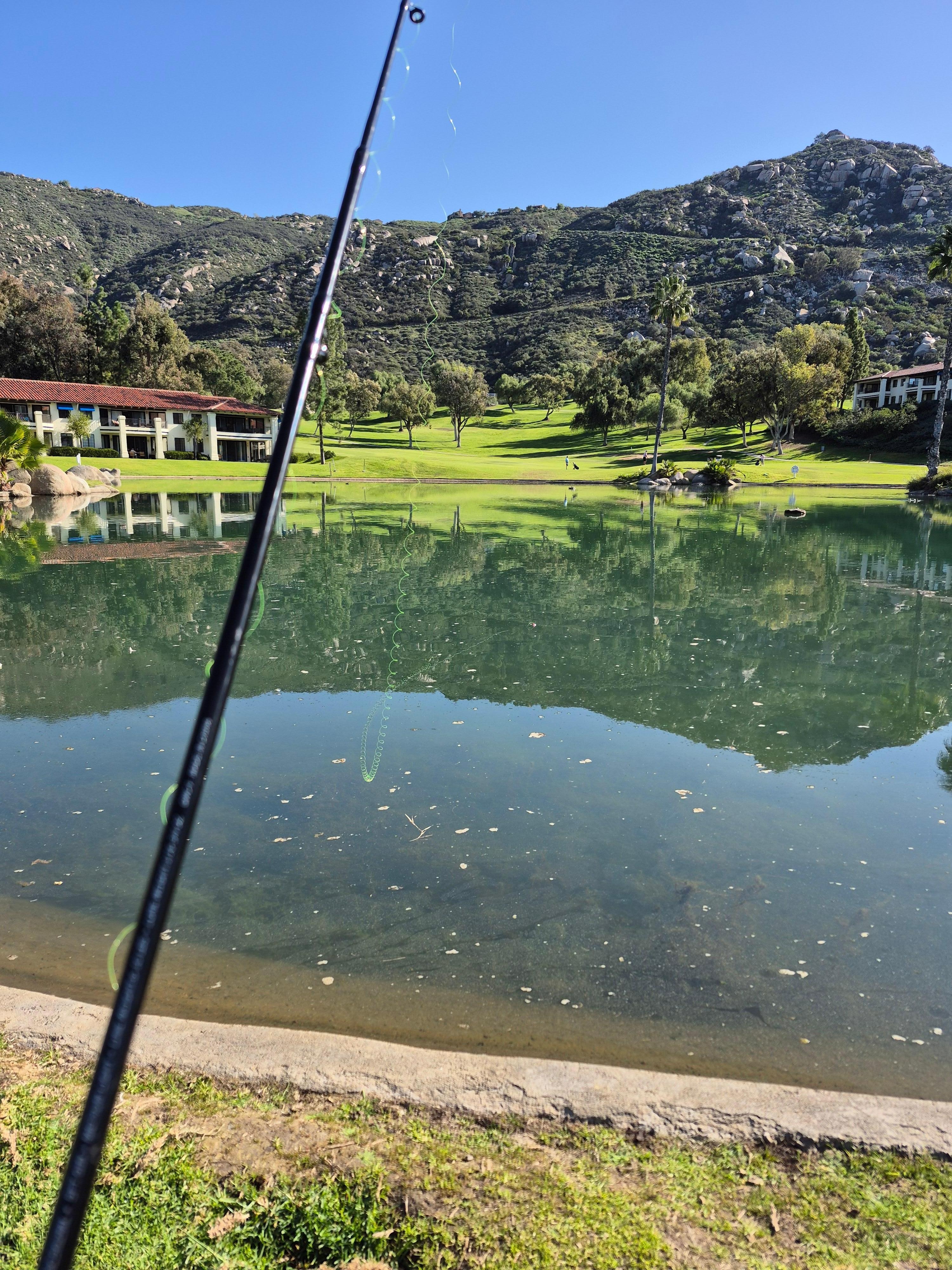Fishing pond on grounds!