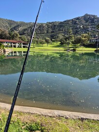 Fishing pond on grounds!