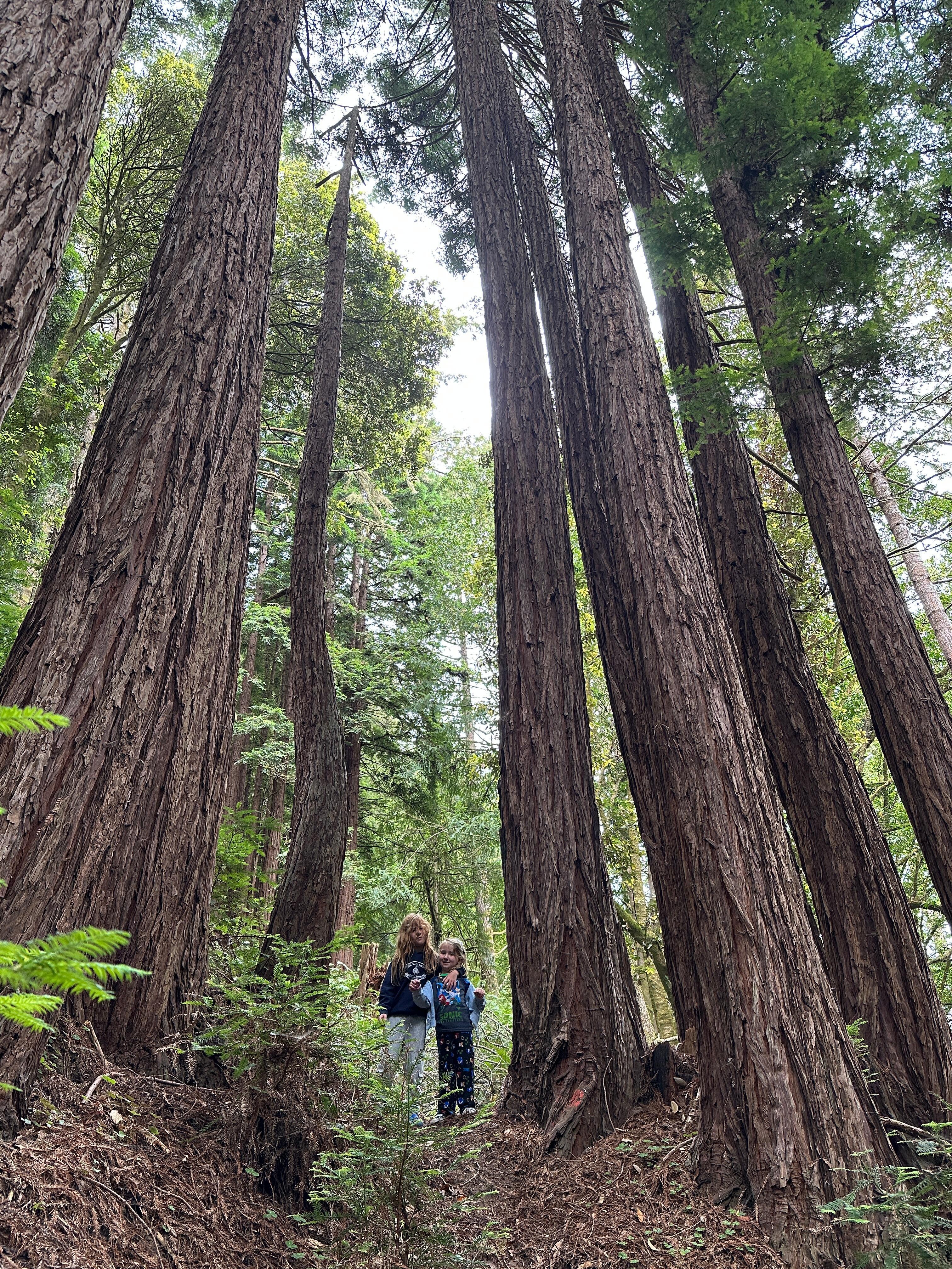 Kids loving the hike. 