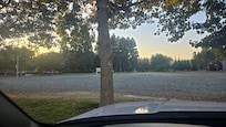 Turkeys and homeless roaming