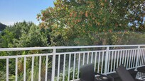 This was towards the sea view from the terrace.