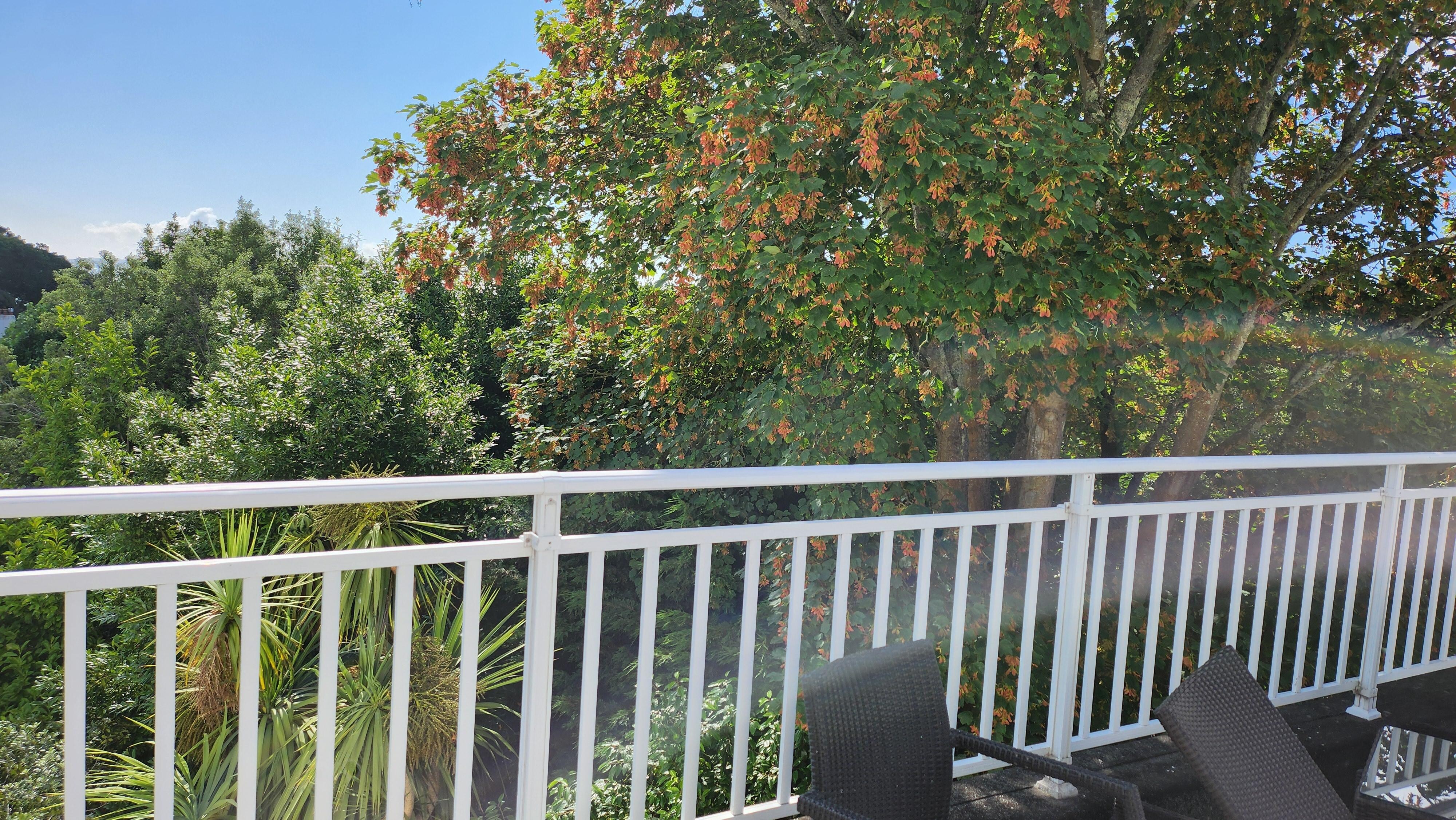 This was towards the sea view from the terrace.
