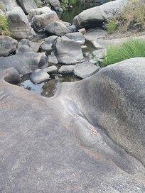 The creek had water running through it. I didn't have a chance to take my dog "Cooper" in for a dip though.