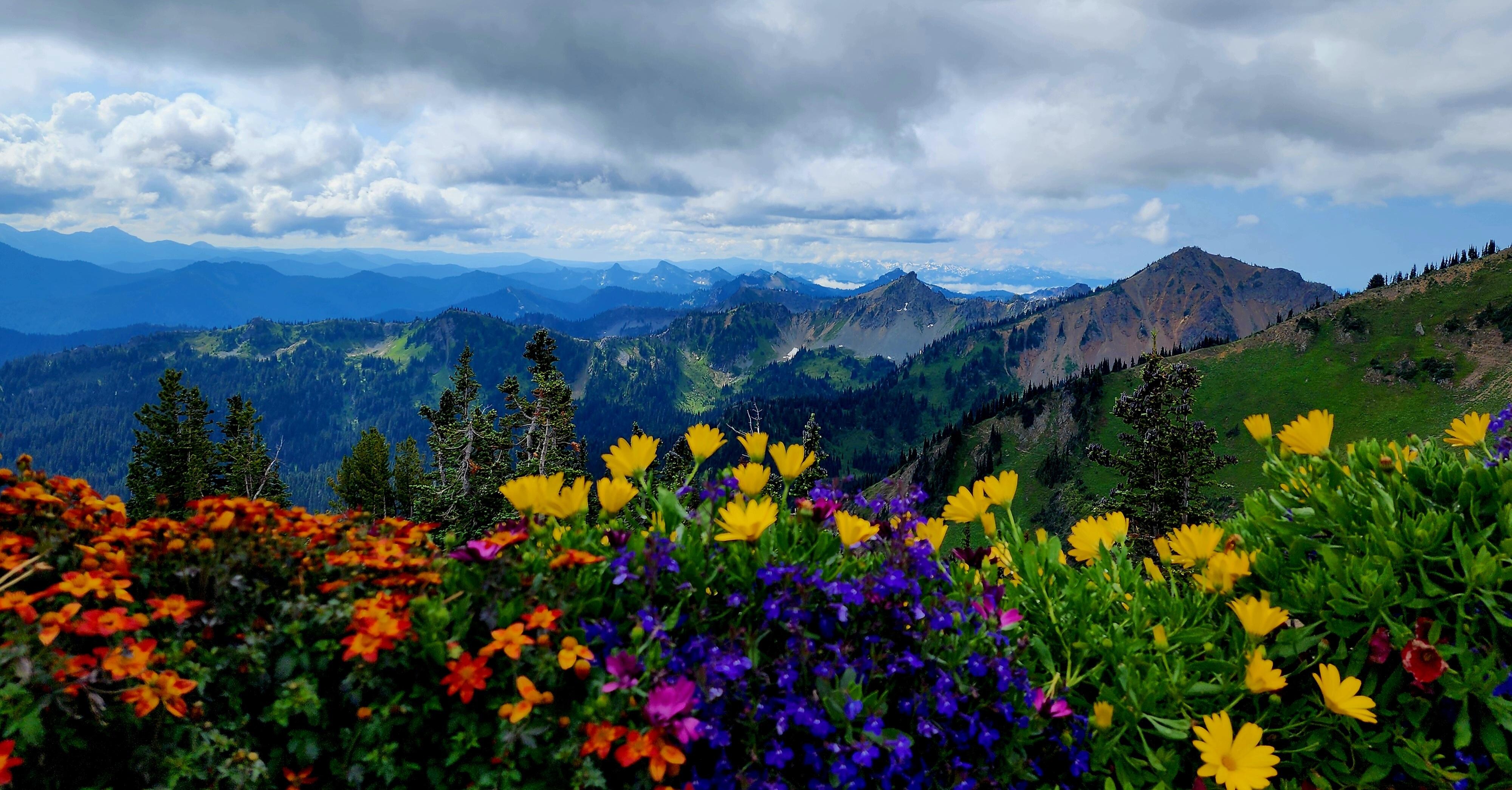 View from Crystal Mountain gondola