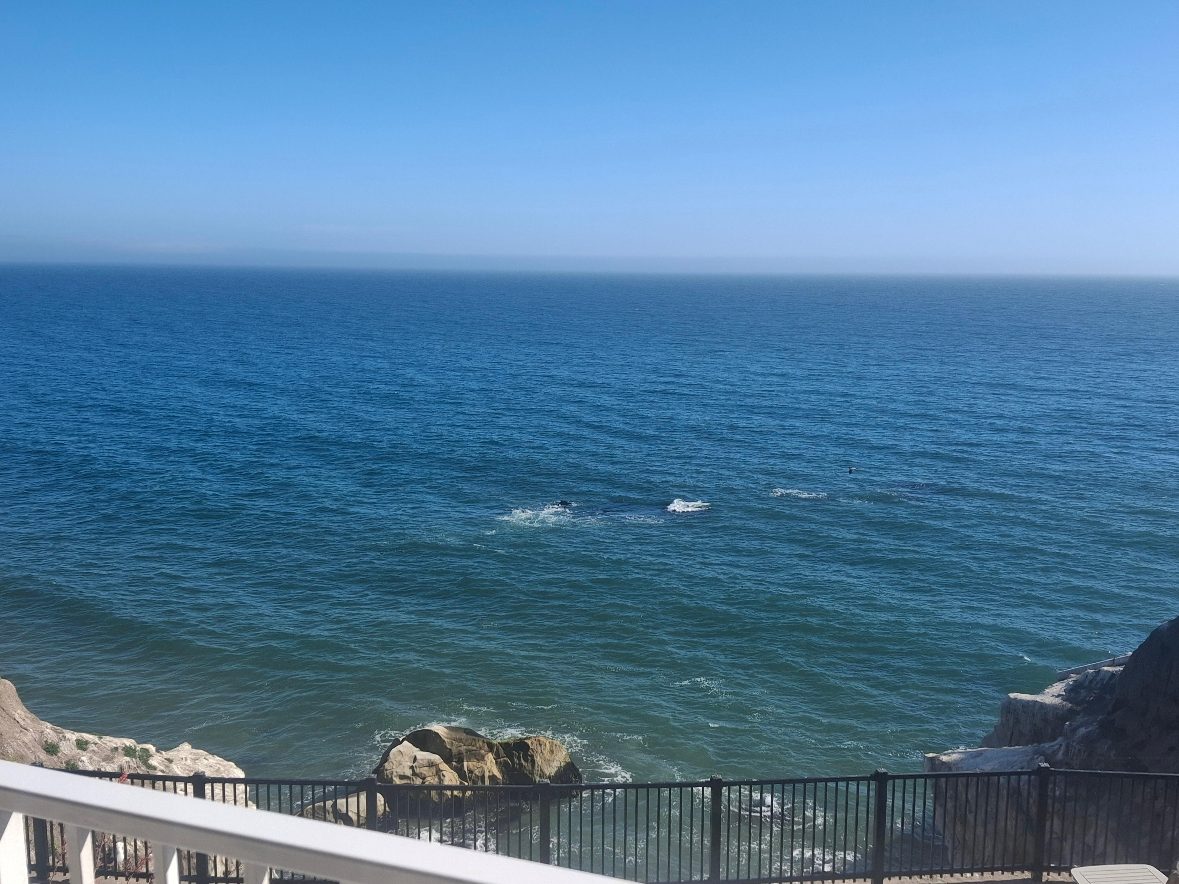 Roomview