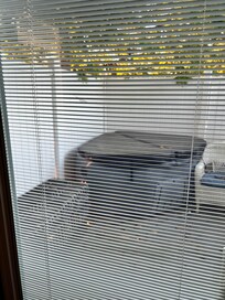 Hot tub and private porch. View from foot of master bed.