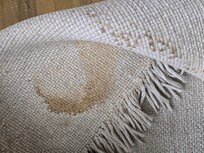 Area rug, multiple stains.