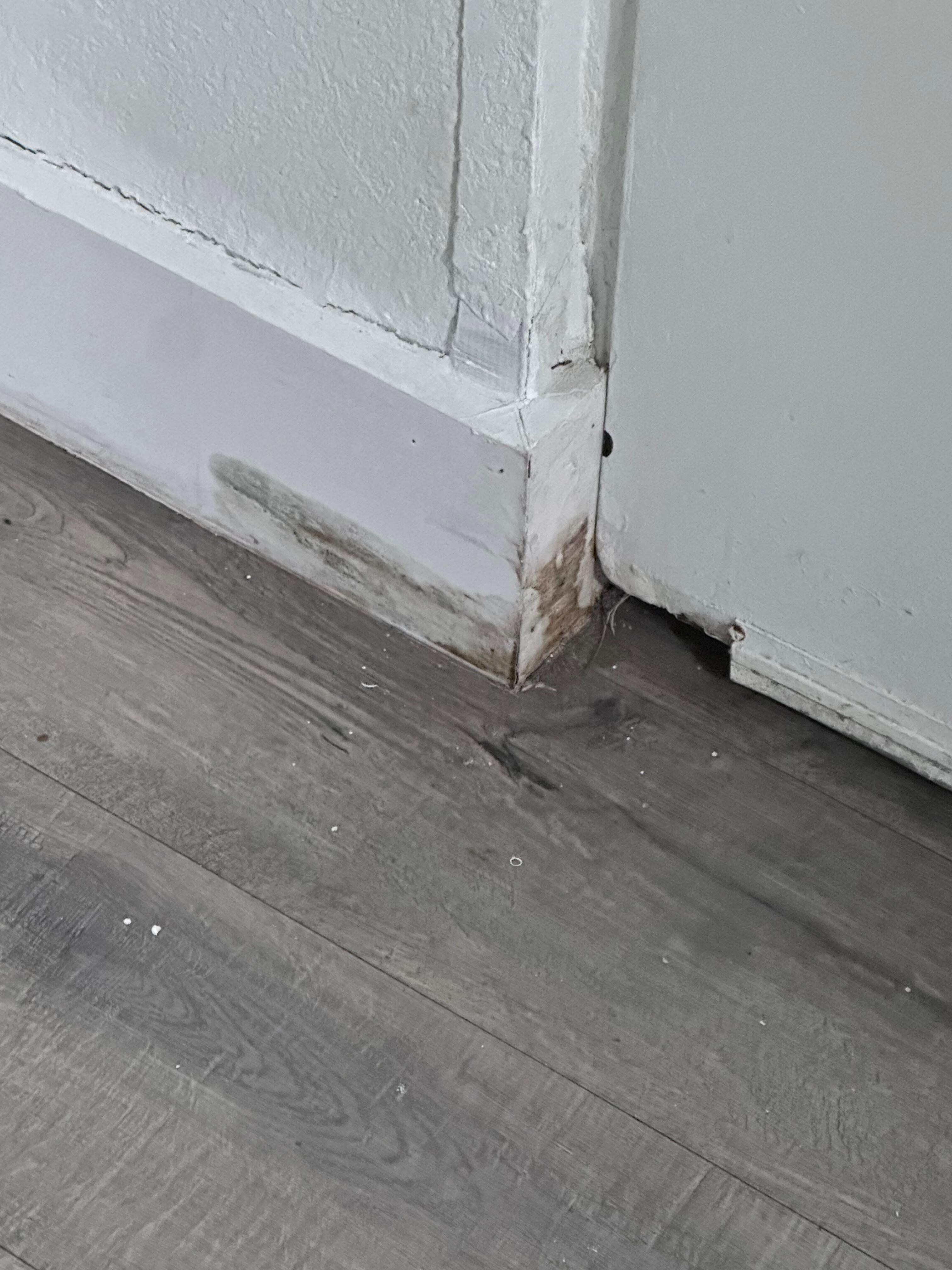 Mold