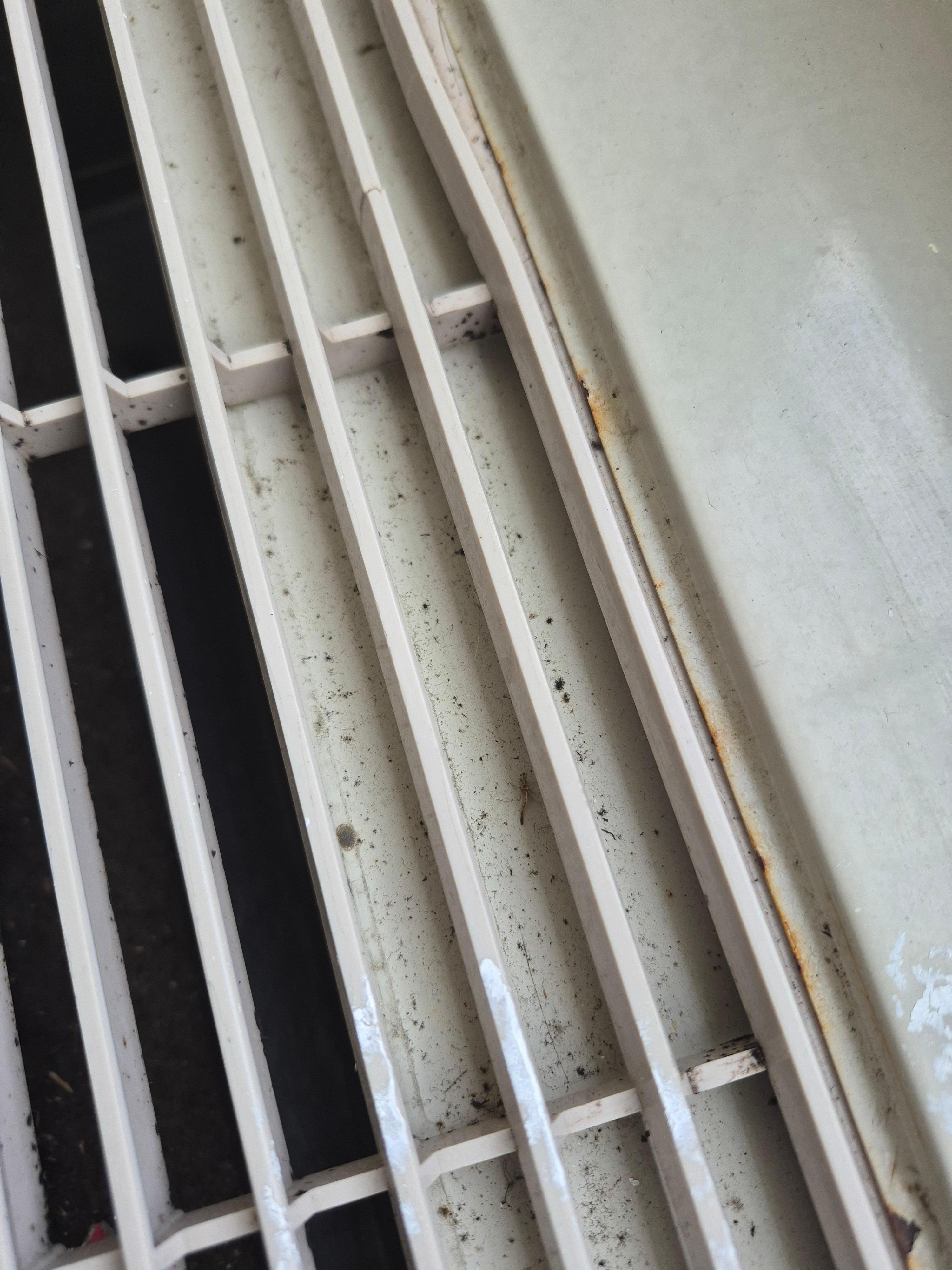 Mold in AC vents