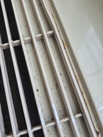 Mold in AC vents