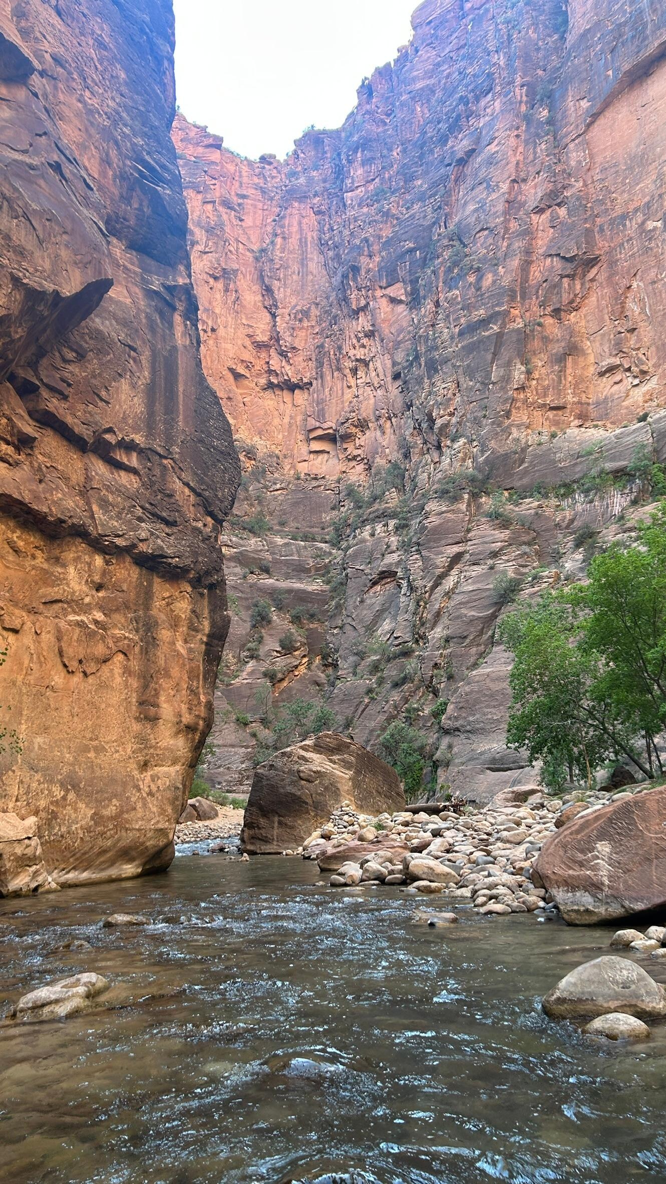 Zion Virgin River