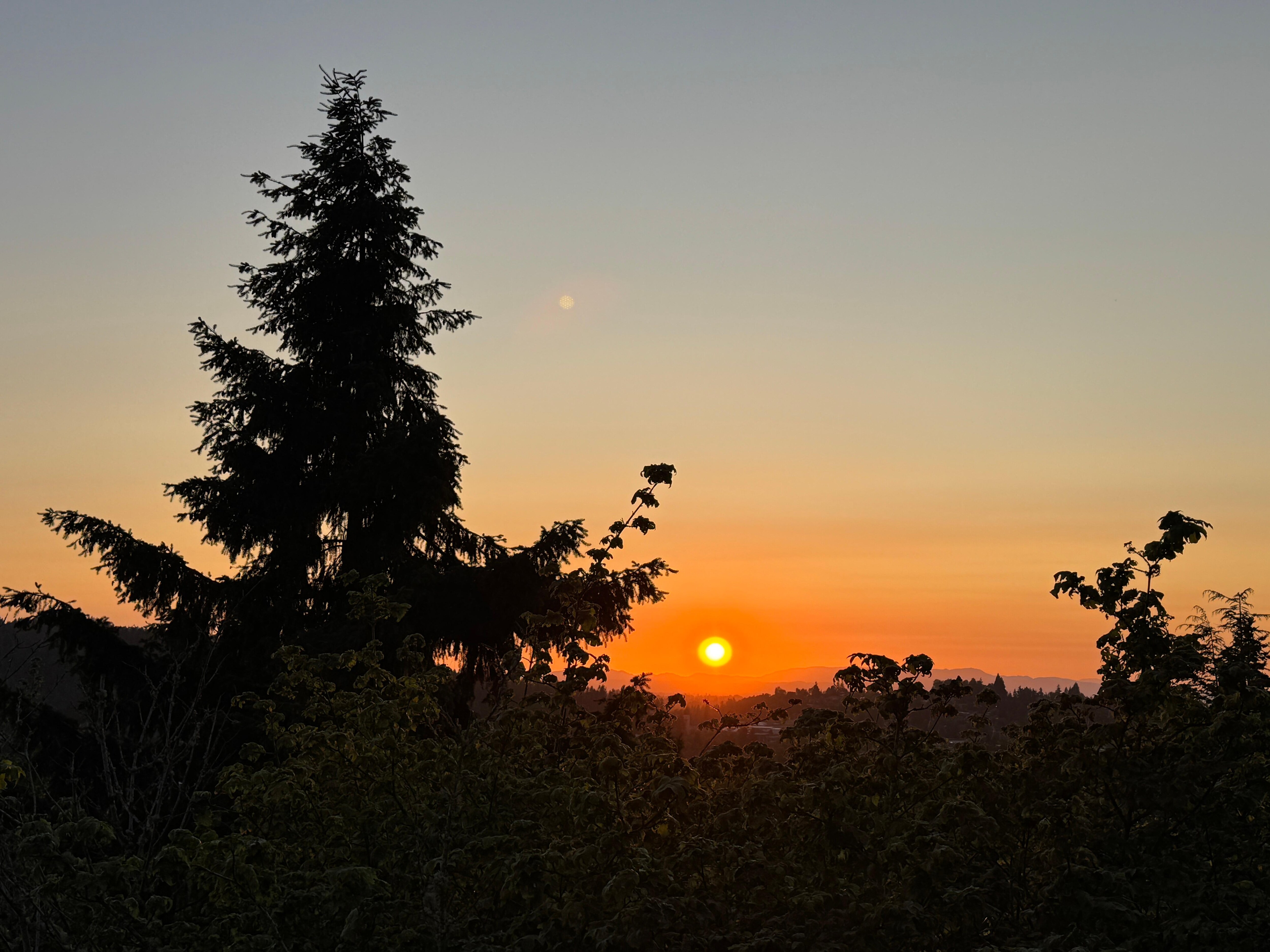 Sunsets 