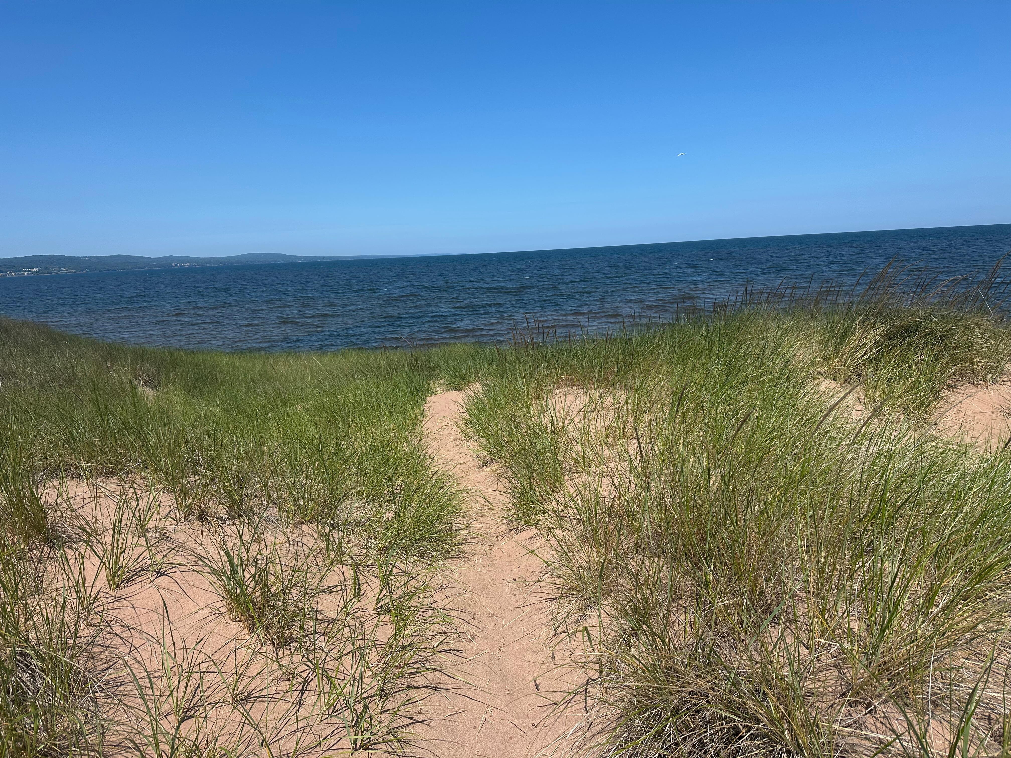 Path to beach