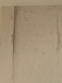Interior wall on the 5th floor visible stains.