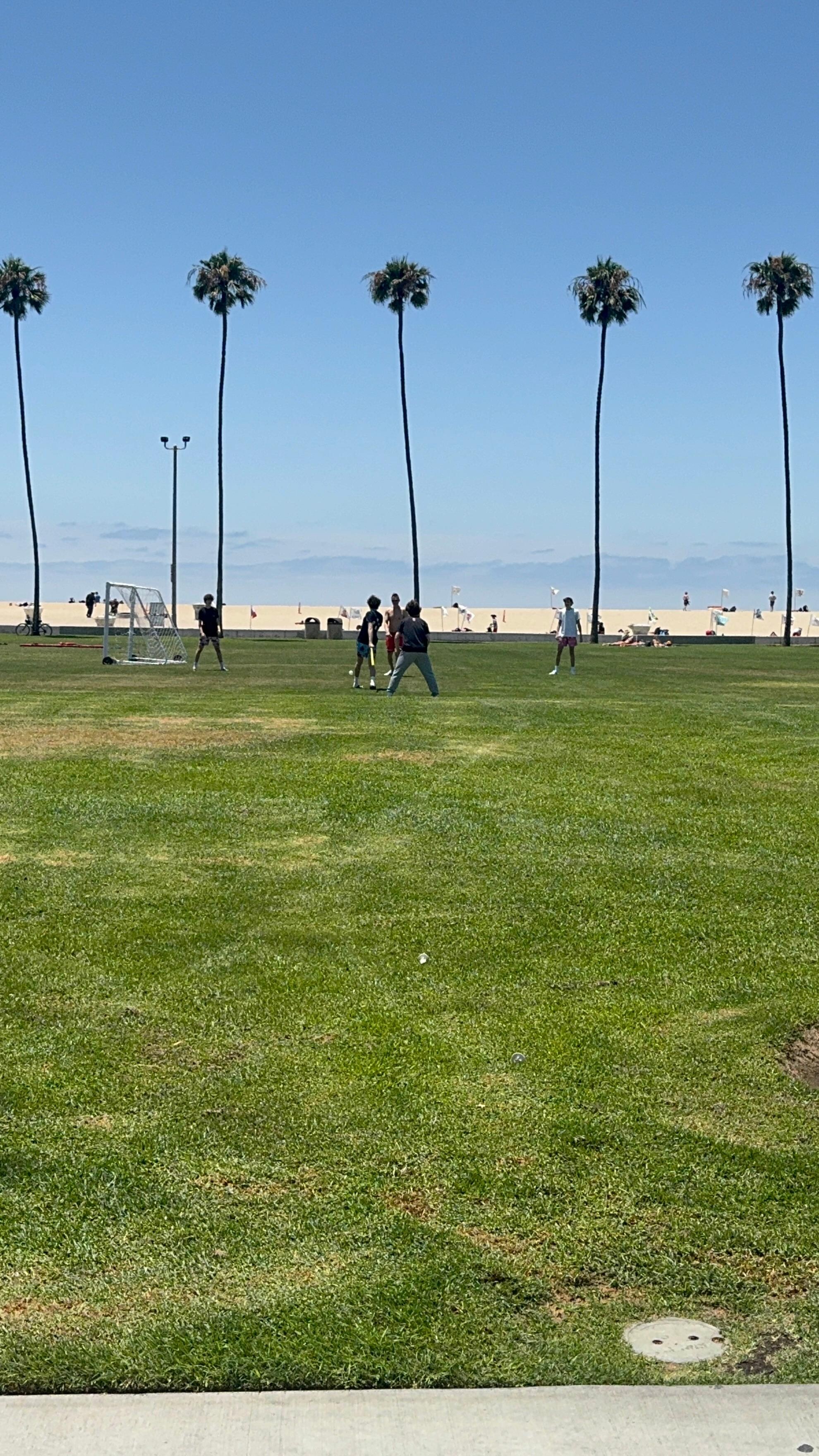 Grass area