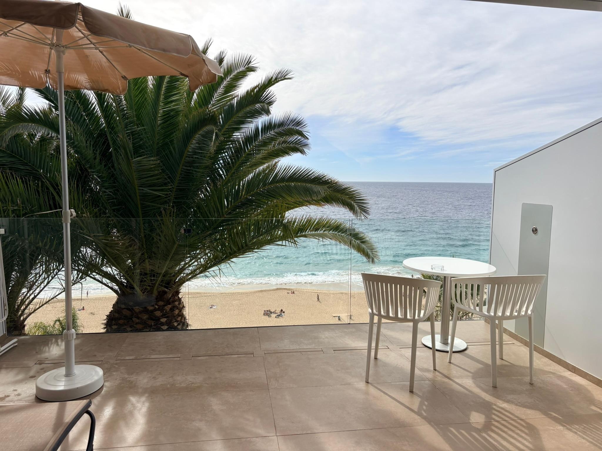 View of the Ocean and Palm tree 
