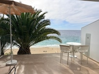 View of the Ocean and Palm tree