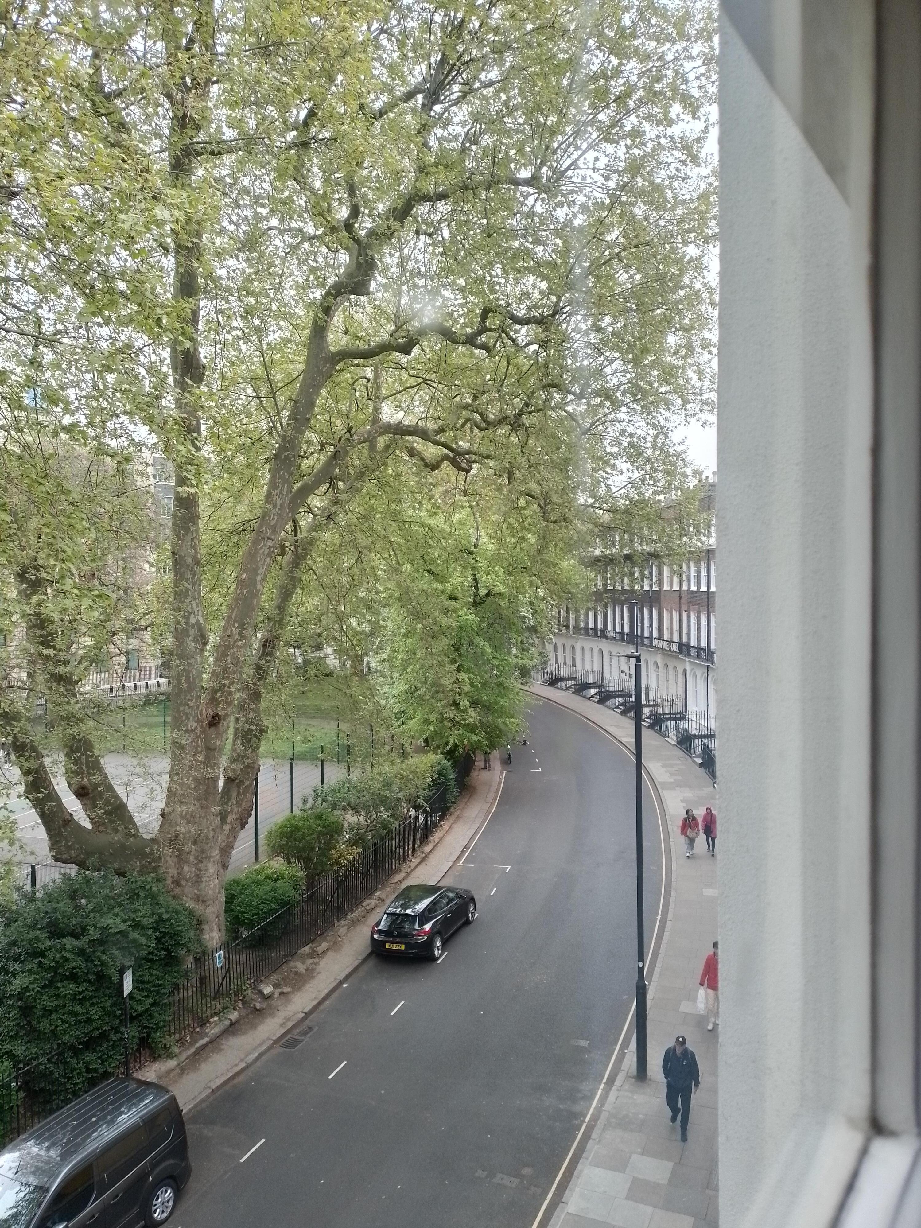 A view of the crescent.