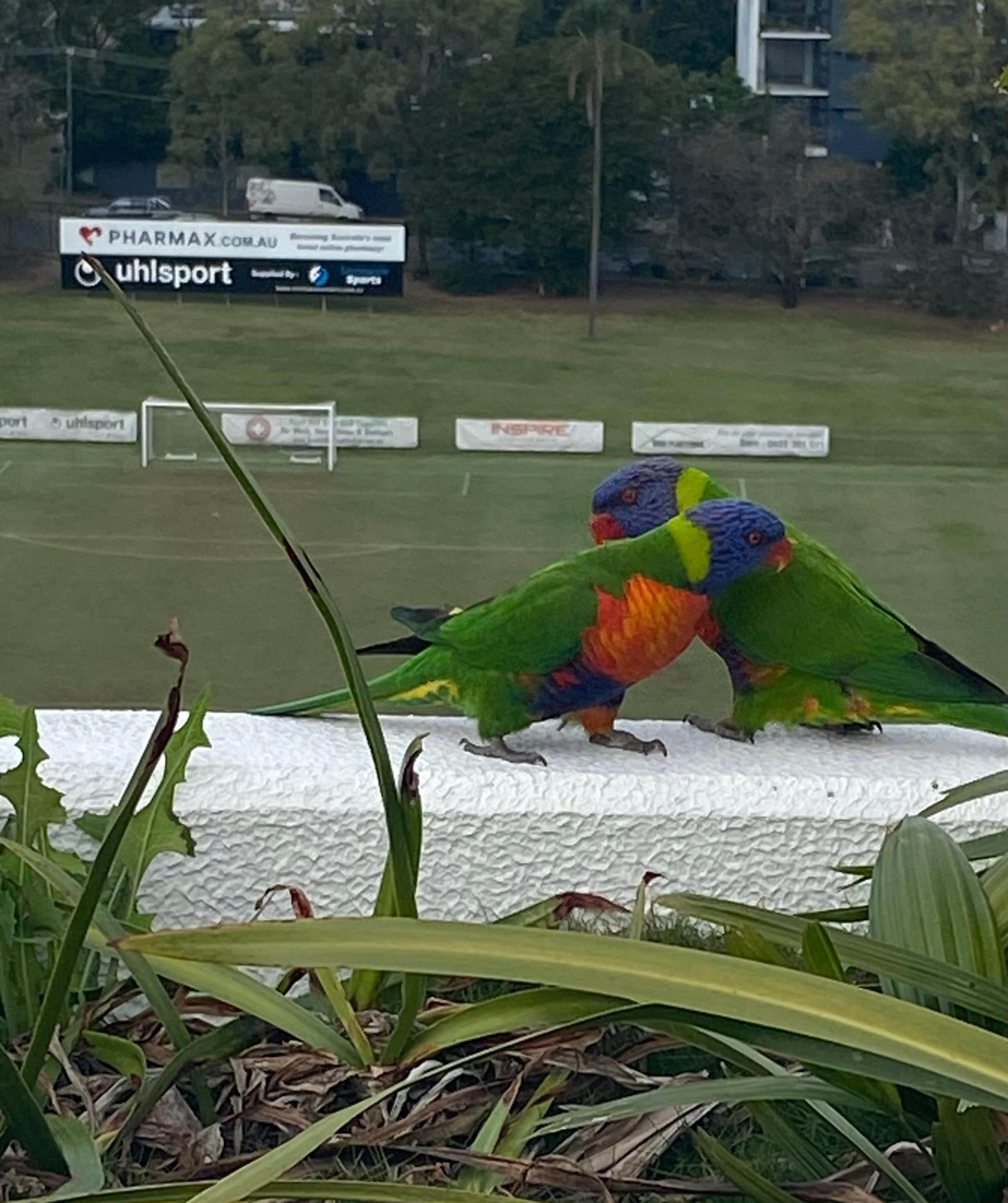Great pool and lounge area on roof 