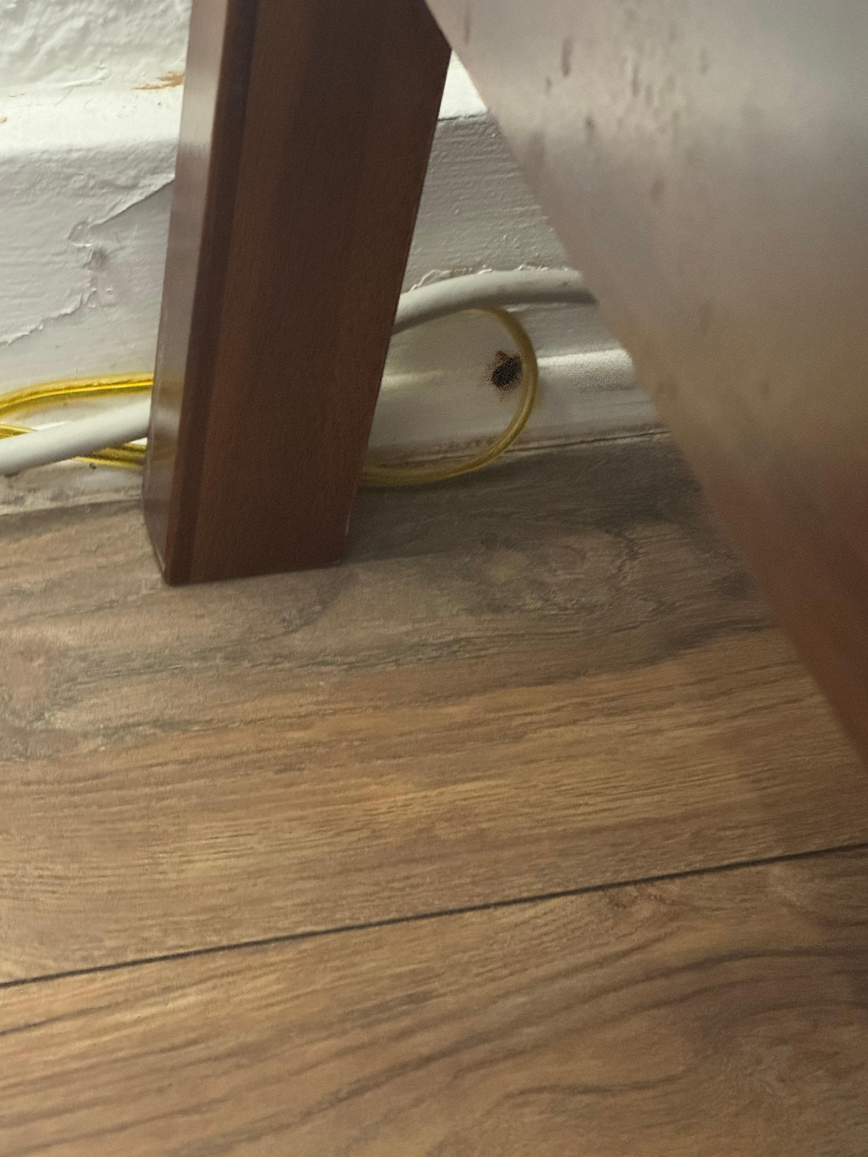 It’s a bad picture because I was honestly shaking but I promise it’s a cockroach!!