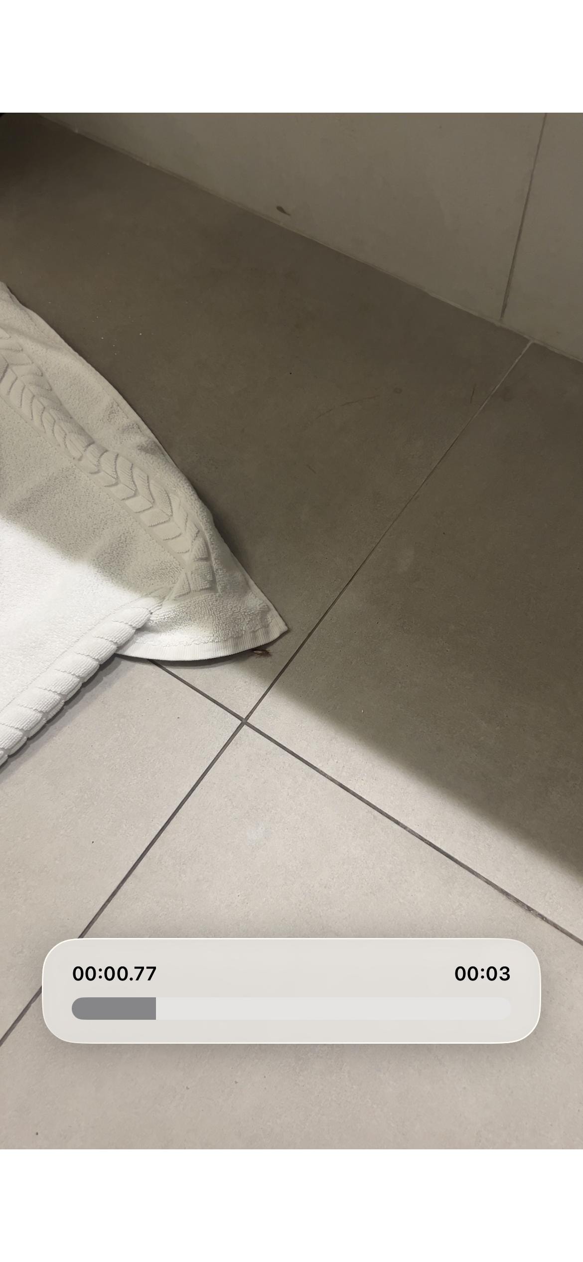 SCREENSHOT FROM VIDEO OF ROACH THAT WAS NEVER FULLY ADDRESSED