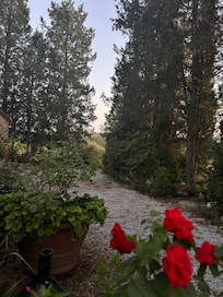 Kig fra huset mod San Gimignano.