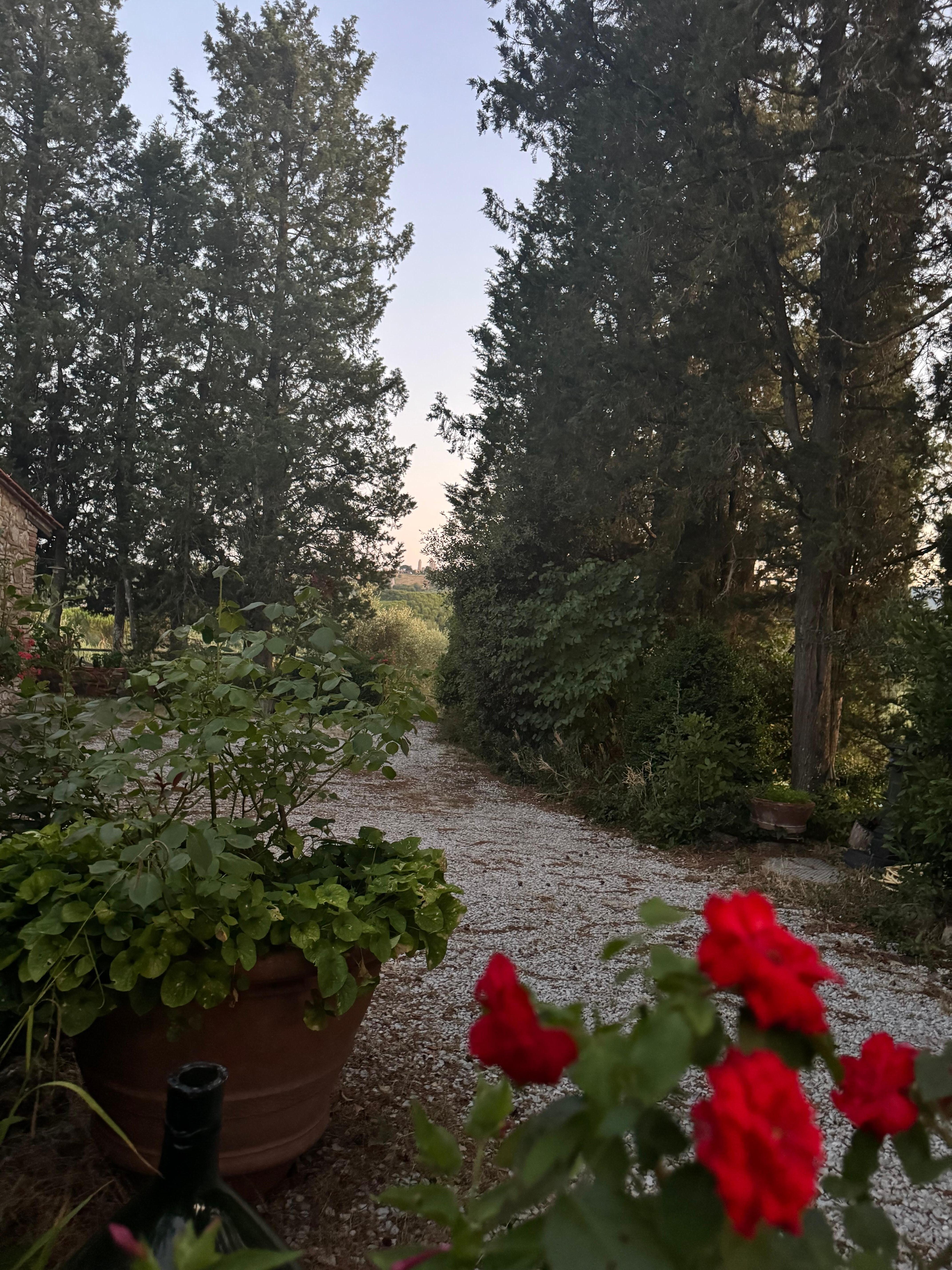 Kig fra huset mod San Gimignano.