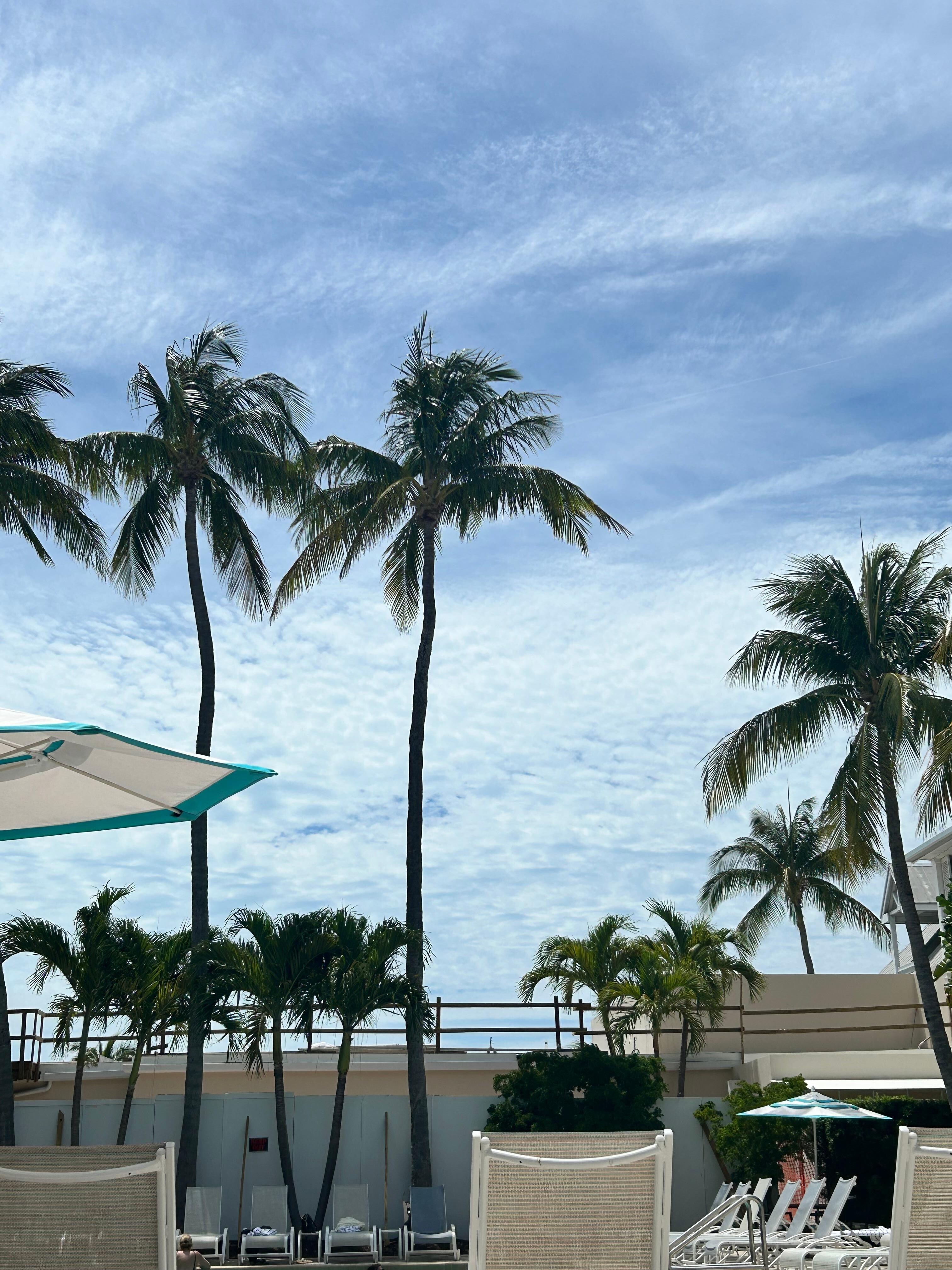 From the pool