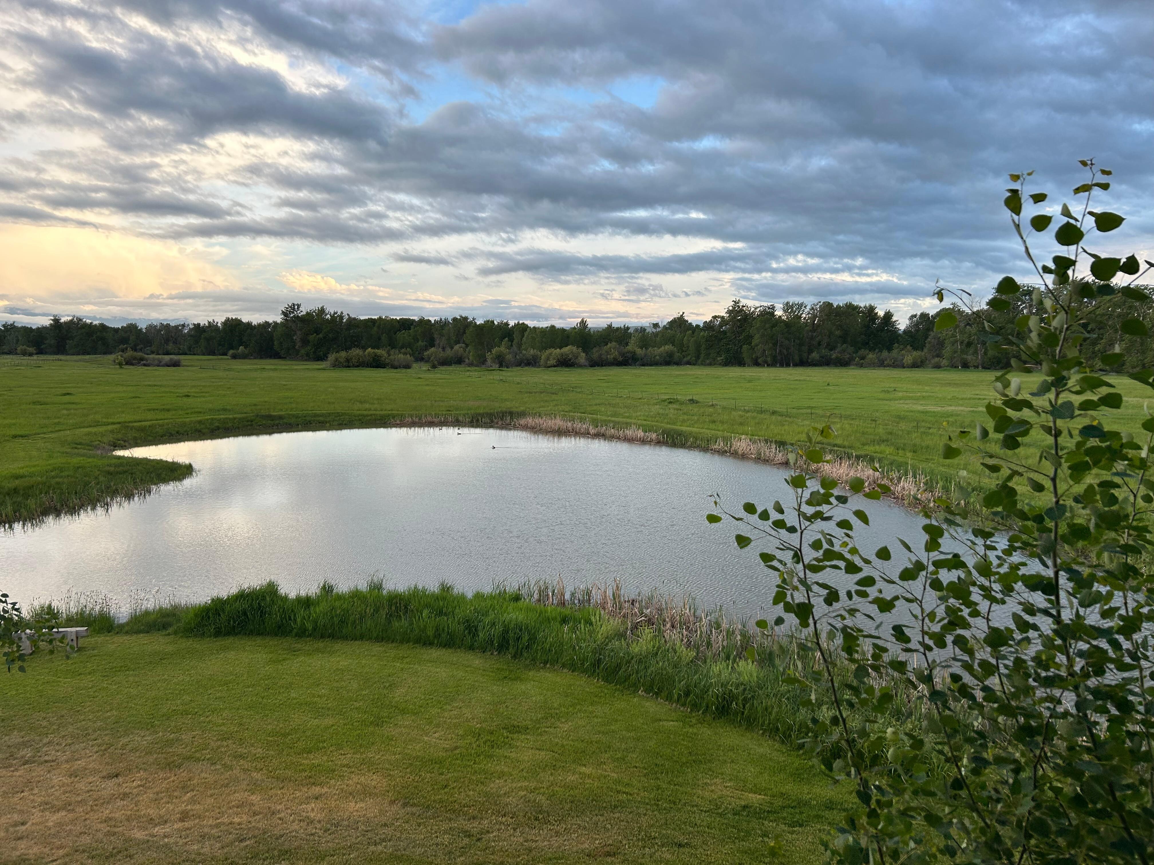 Outdoor fly fishing practice pond.