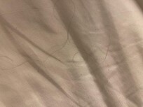 Hair on bed linen