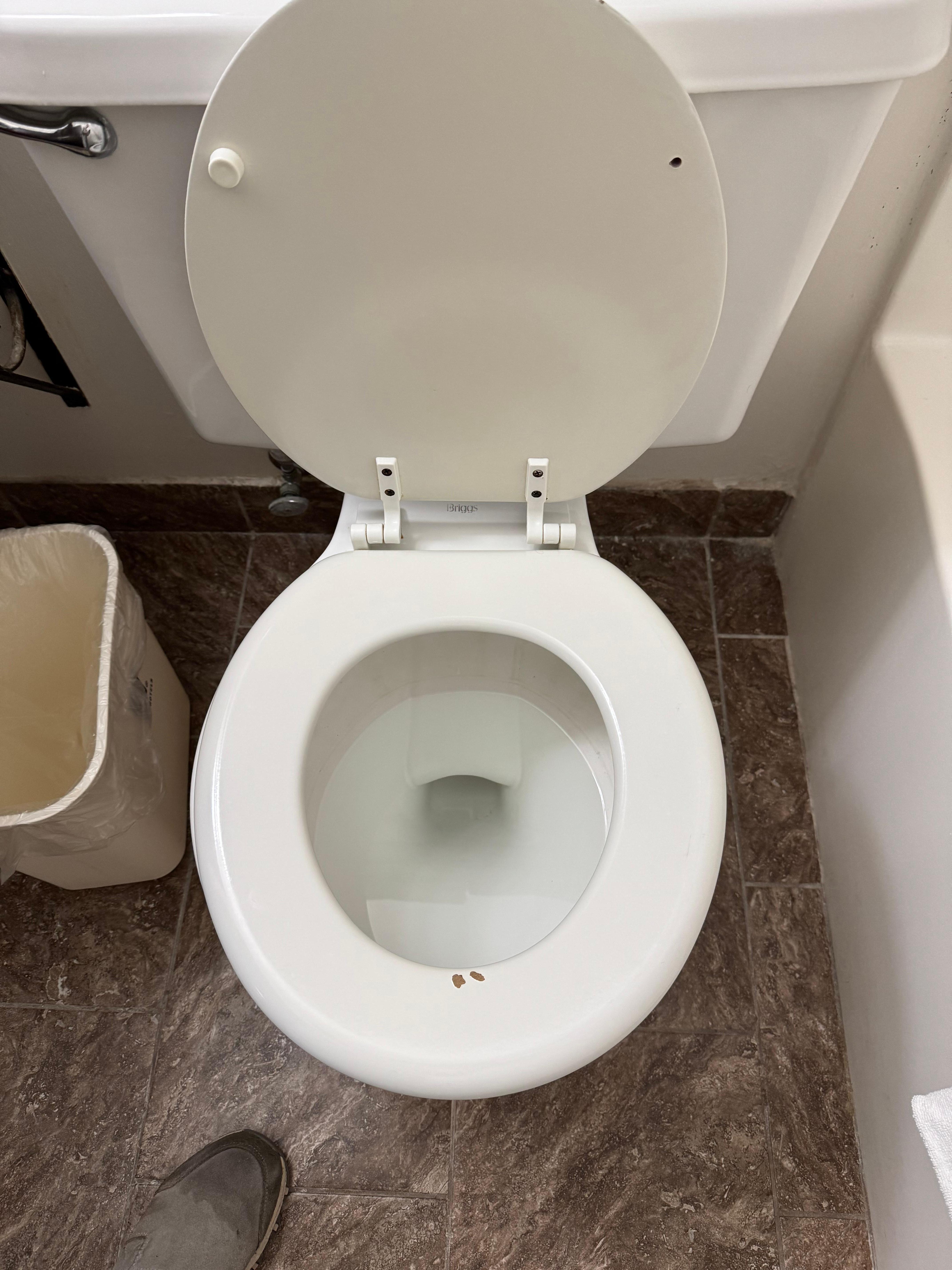 chips on the toilet seat, missing a bumper