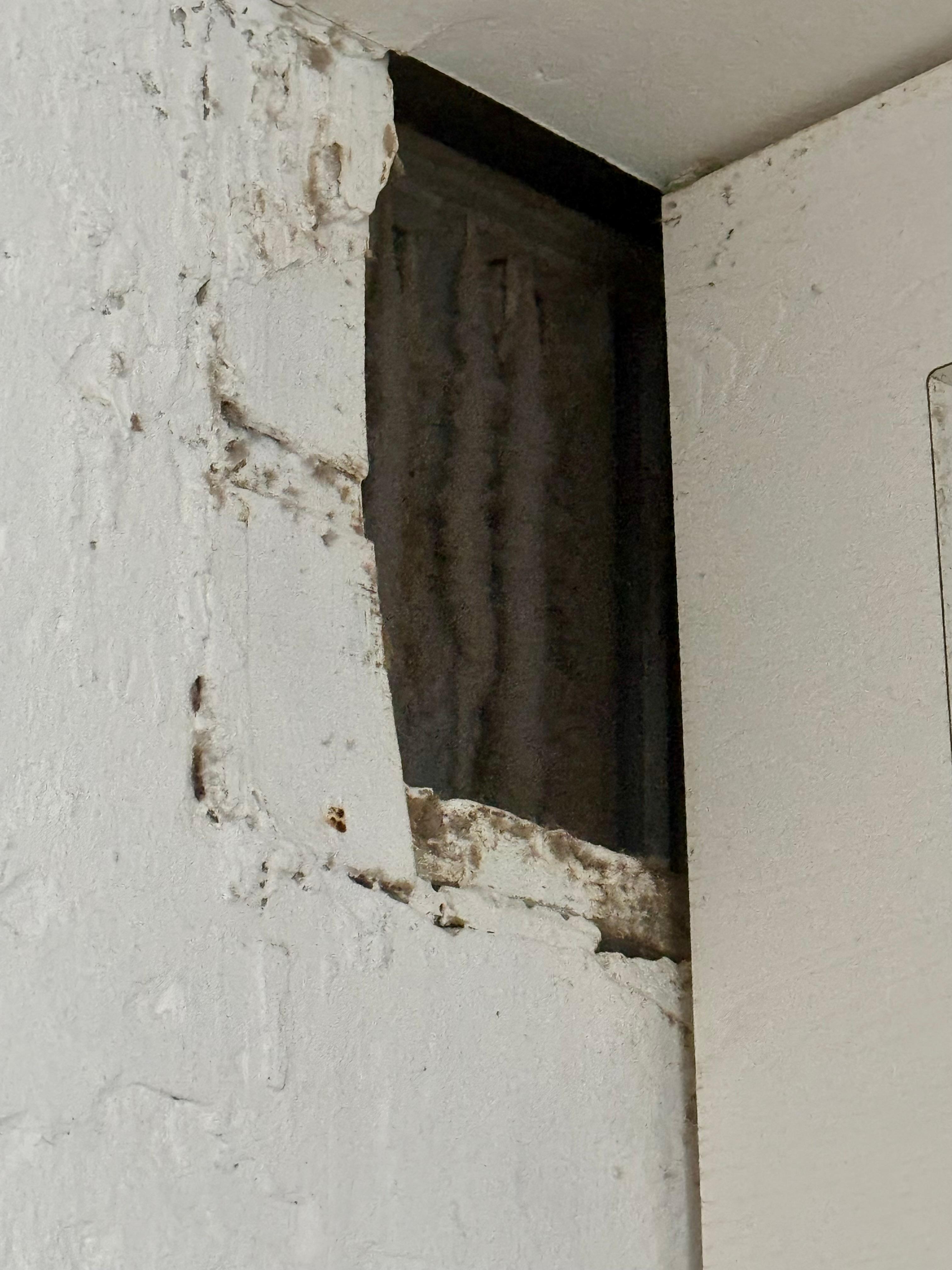 Dirty and moldy!
