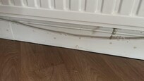 Schmutz unter Heizung Wohnzimmer