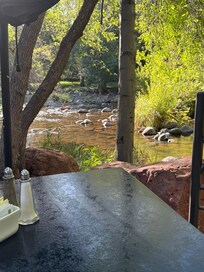 View from breakfast table