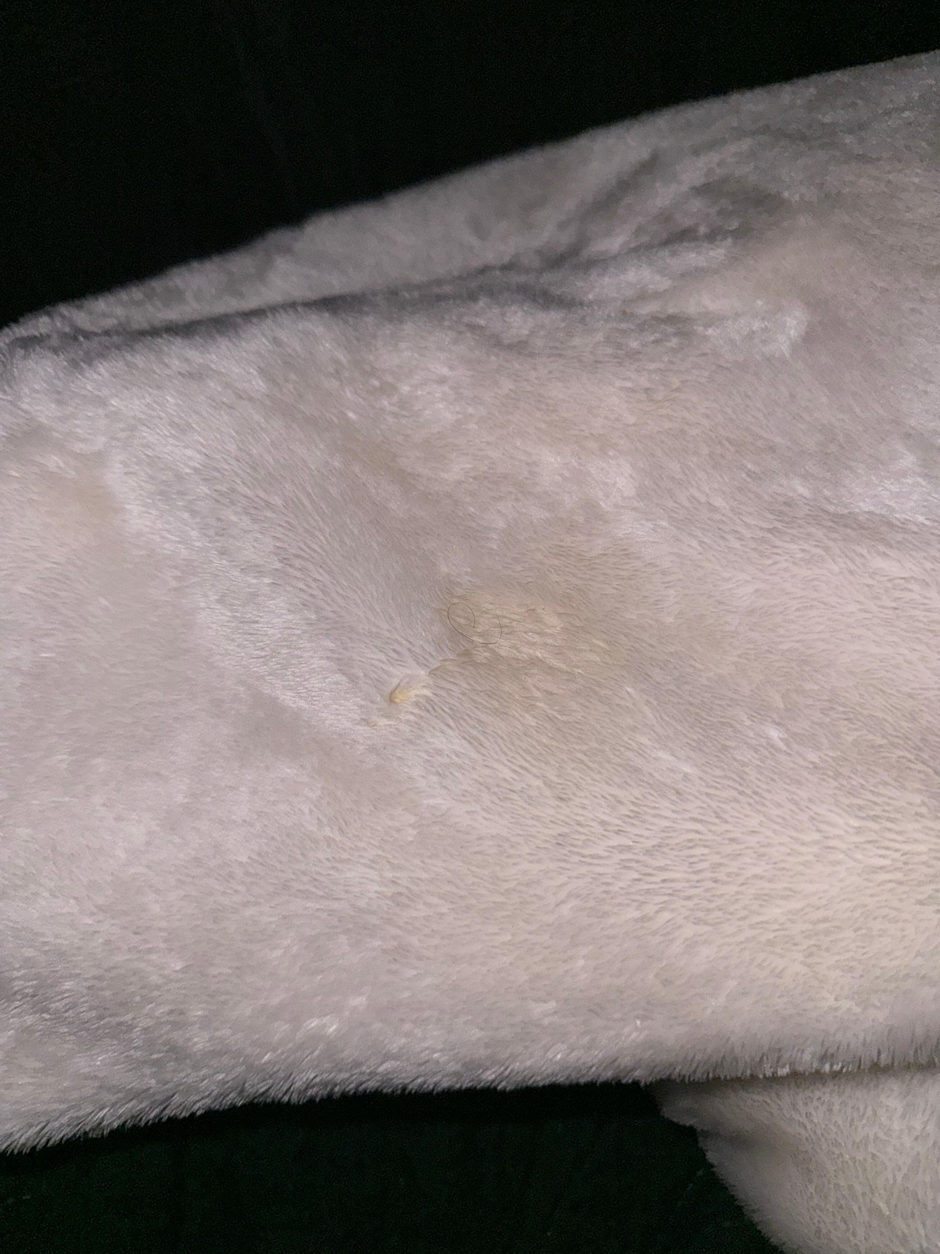 Gross yellow stains on the bed blanket!