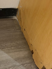 Damage where roach came from