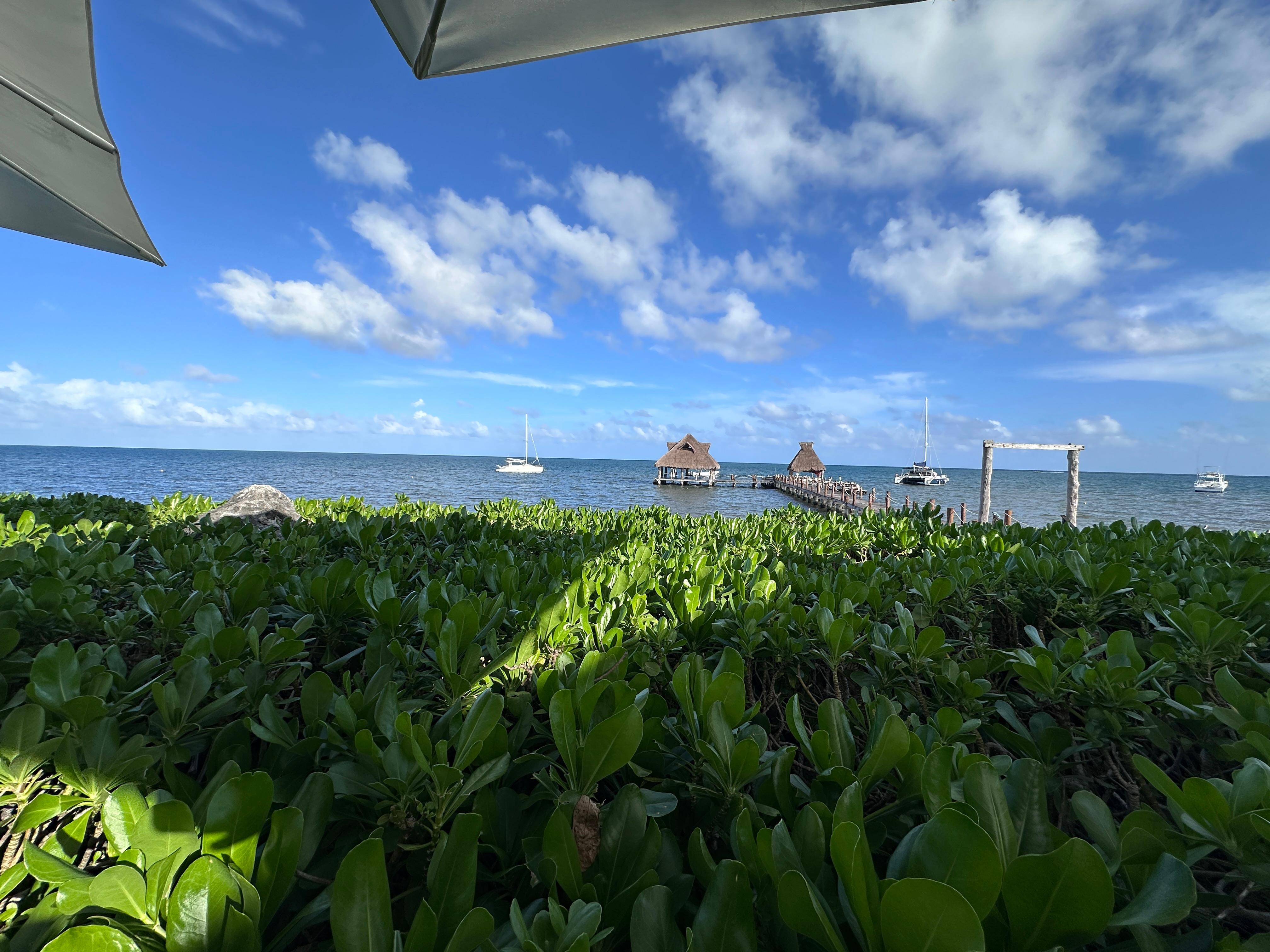 View from the outdoor restaurant