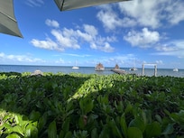 View from the outdoor restaurant